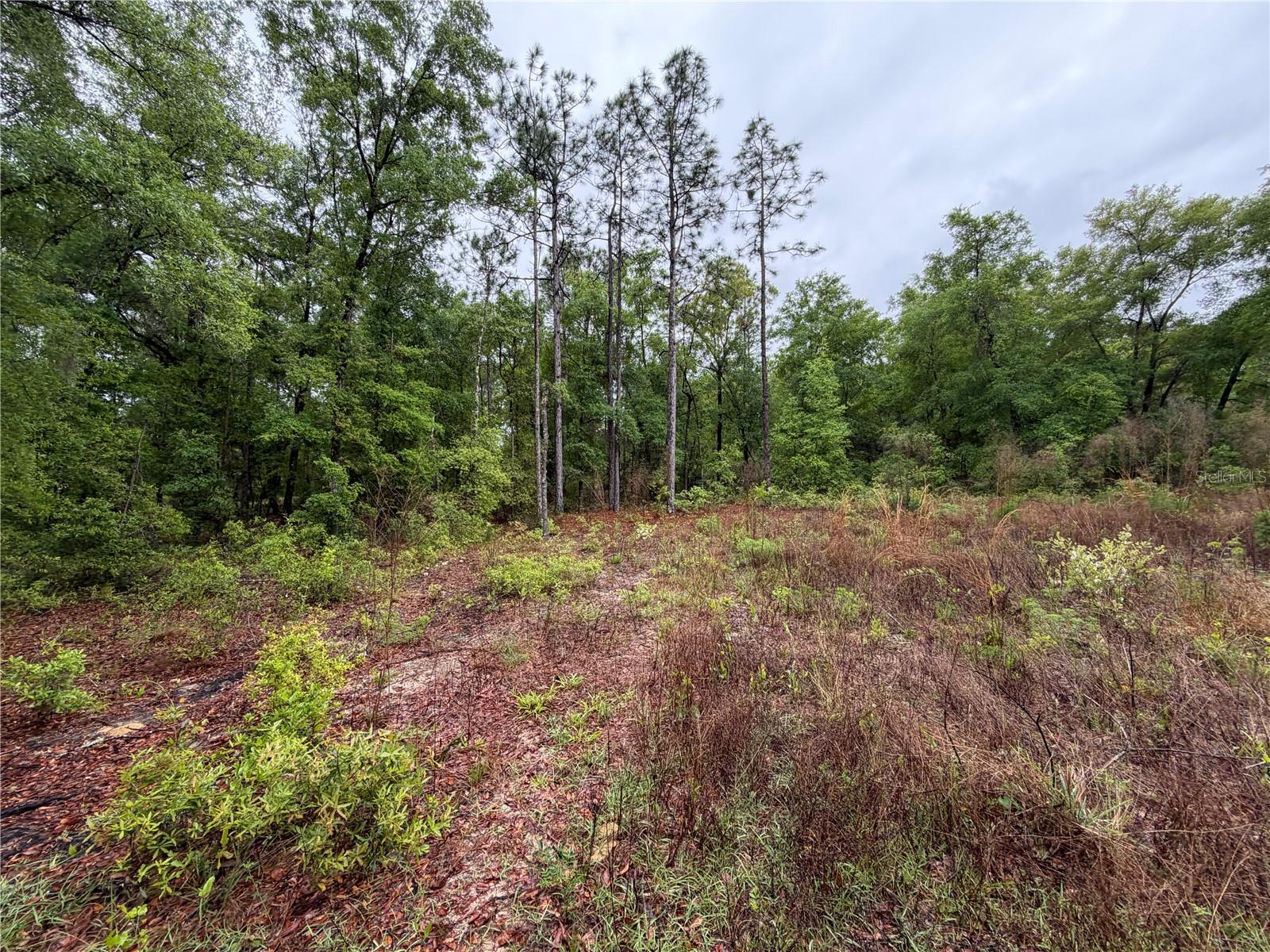 Image 7 of 10 For 301 Rainbow Drive