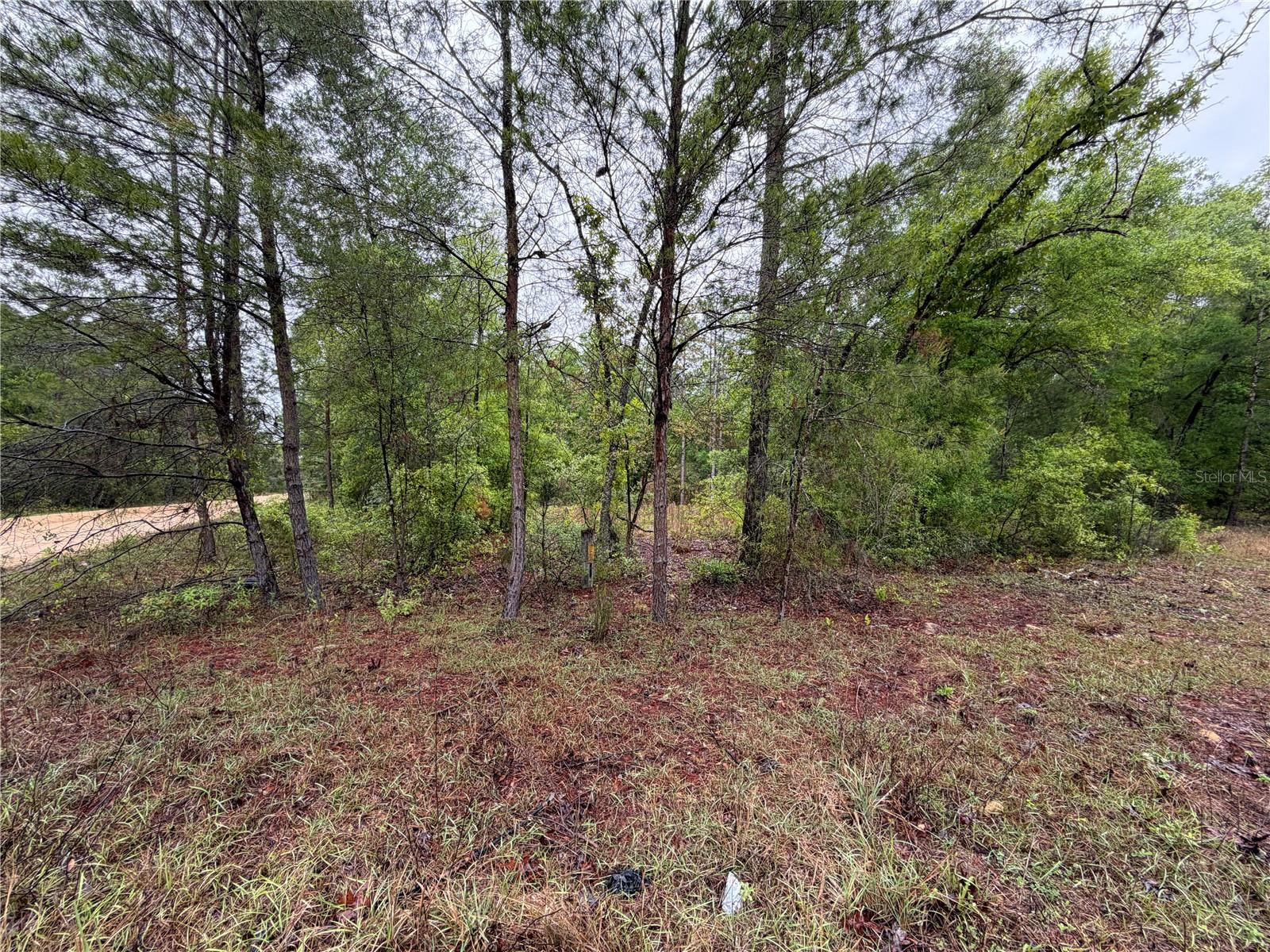 Image 8 of 10 For 301 Rainbow Drive