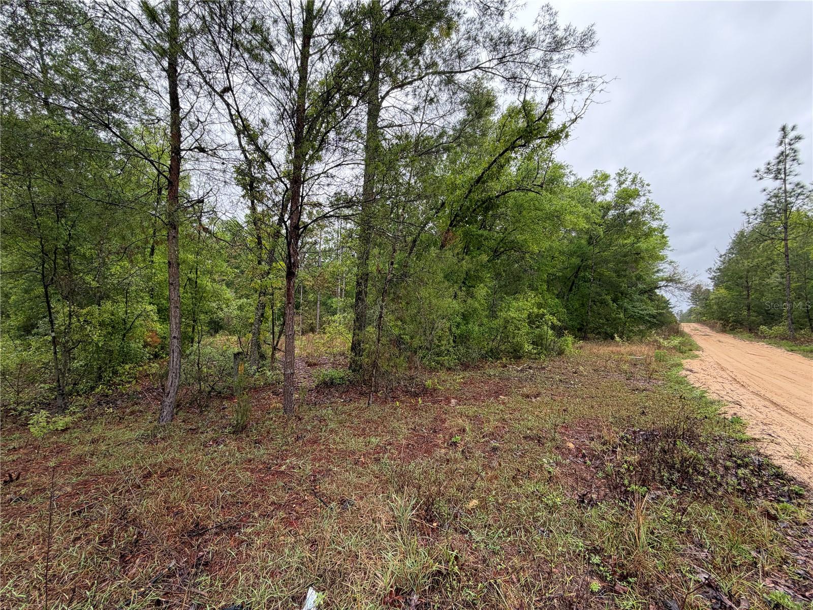 Image 9 of 10 For 301 Rainbow Drive