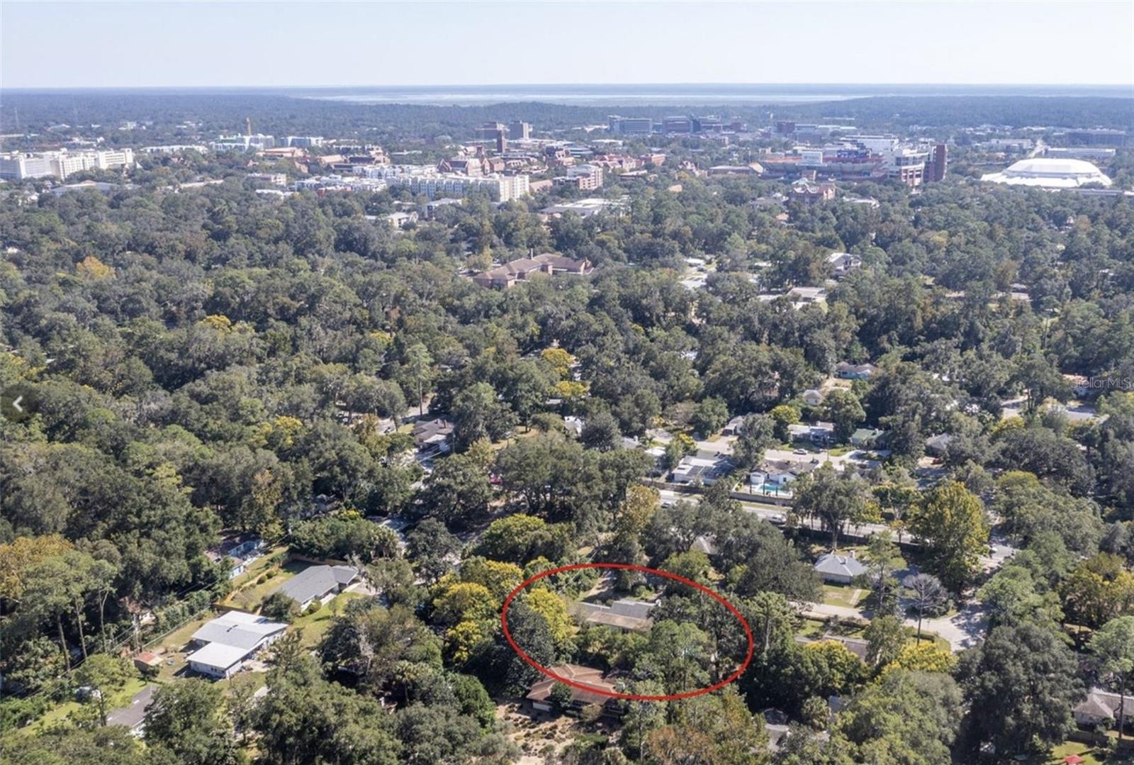 Image 31 of 31 For 2034 8th Place