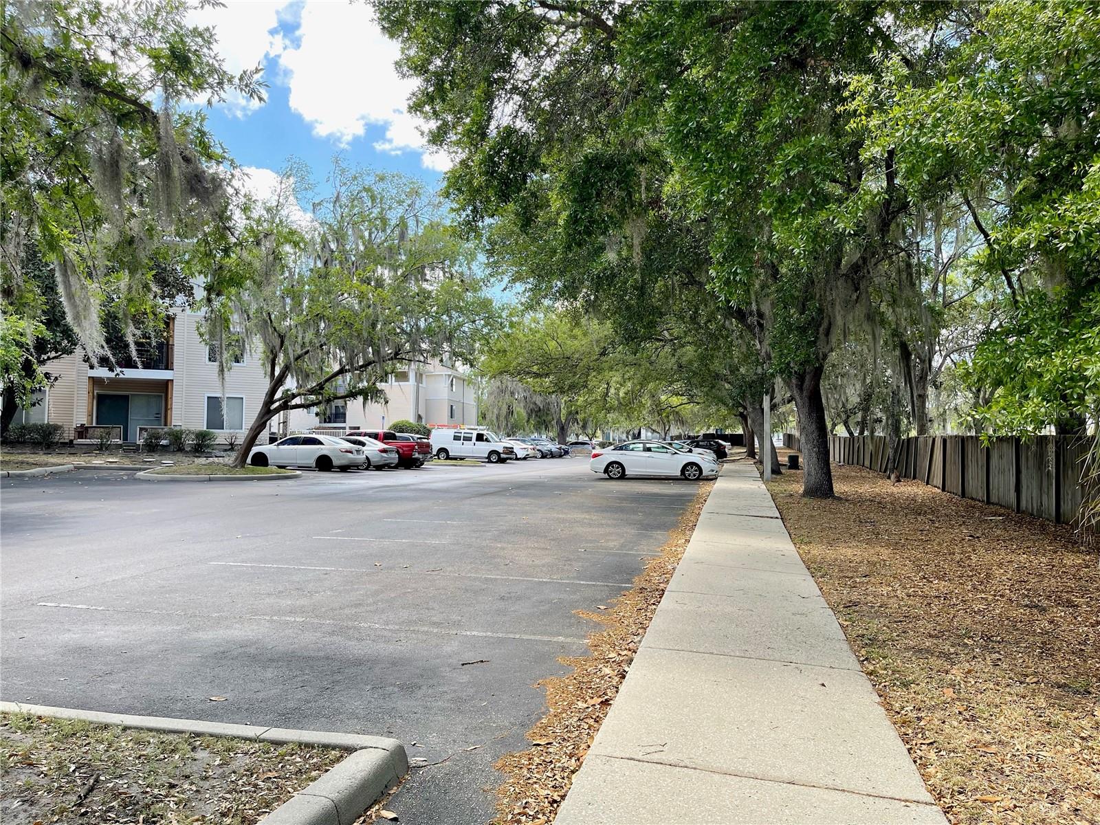 Image 35 of 42 For 3921 34th Street 307