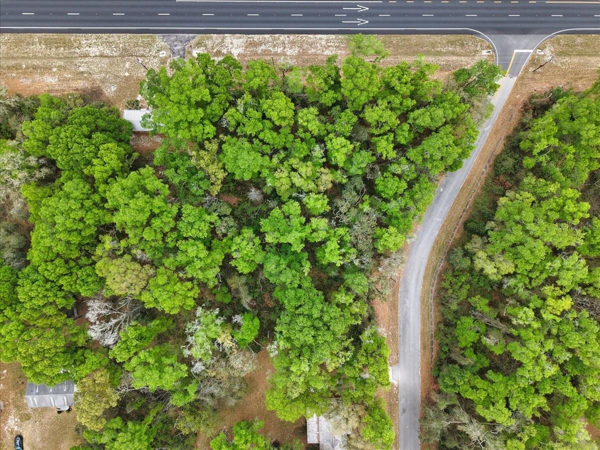 Image 10 of 16 For 000 Us Hwy 19