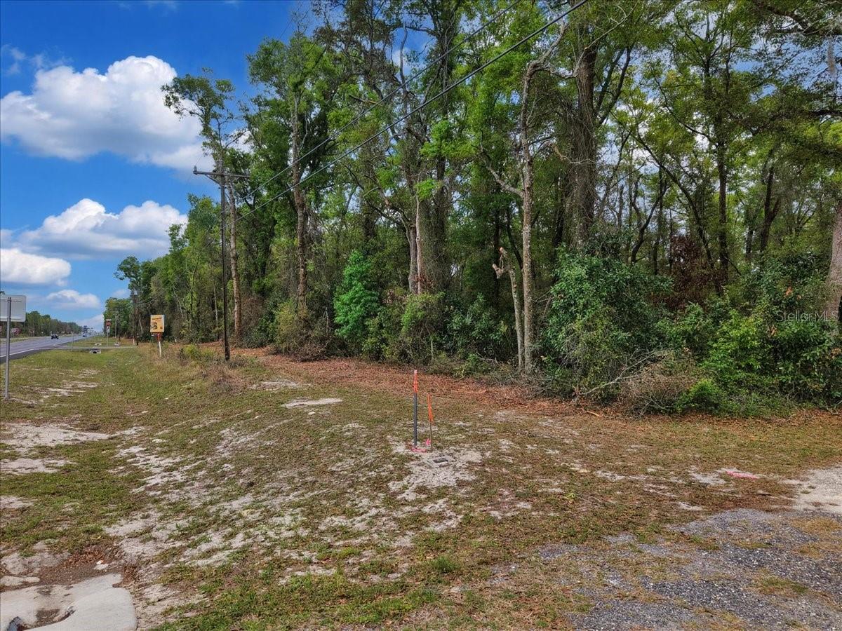 Image 11 of 16 For 000 Us Hwy 19