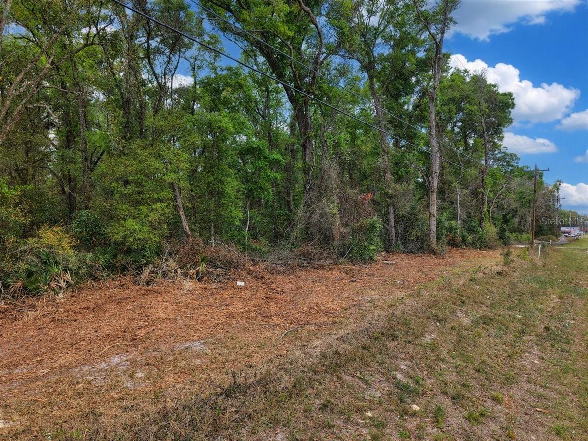 Image 15 of 16 For 000 Us Hwy 19