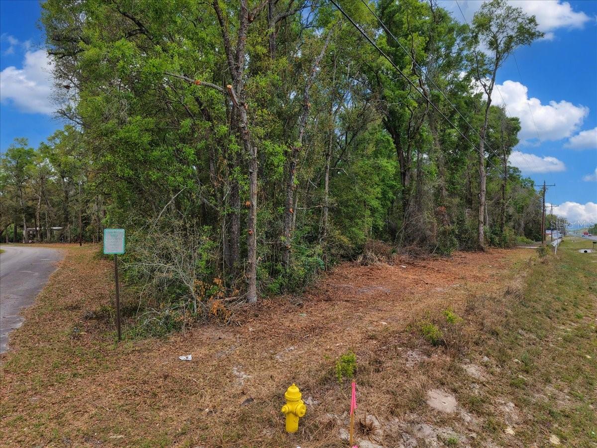 Image 16 of 16 For 000 Us Hwy 19