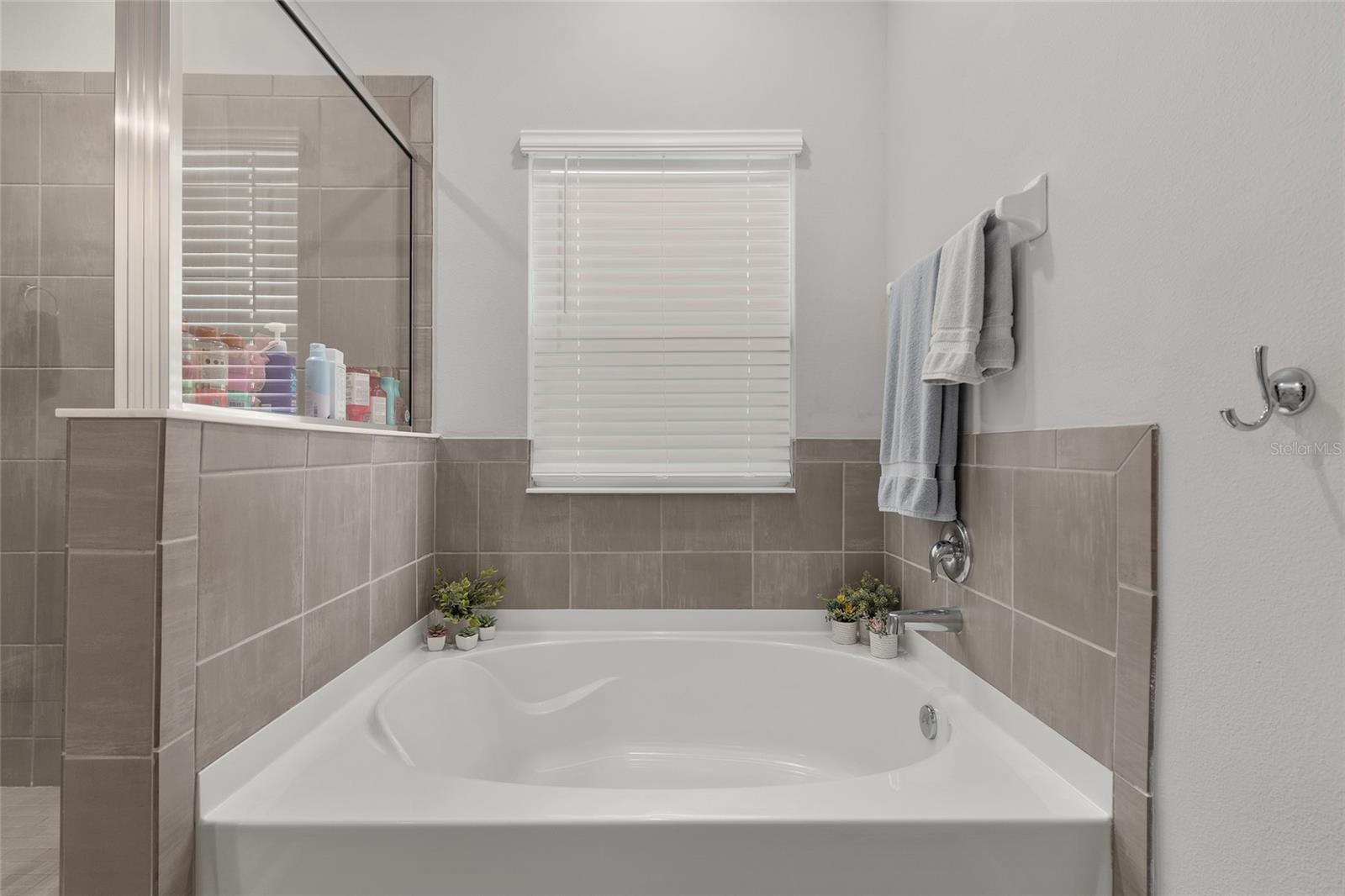 Image 33 of 77 For 17352 172nd Avenue