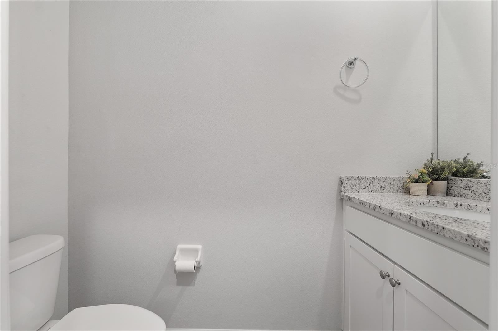 Image 39 of 77 For 17352 172nd Avenue