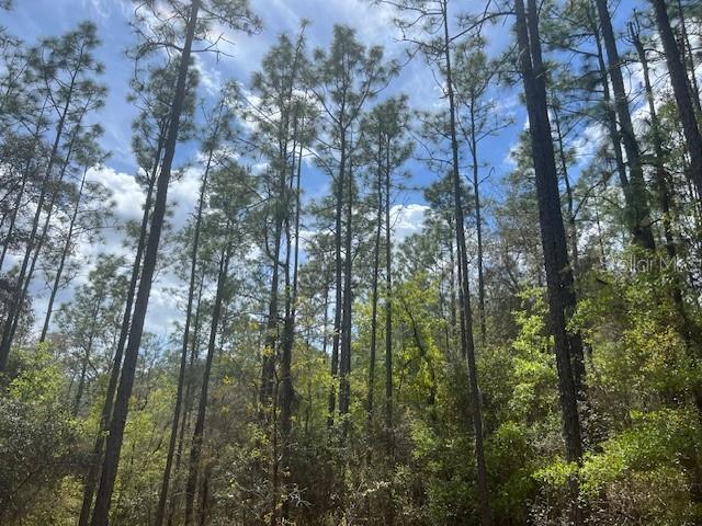 Image 2 of 8 For 181 Whirlwind Loop