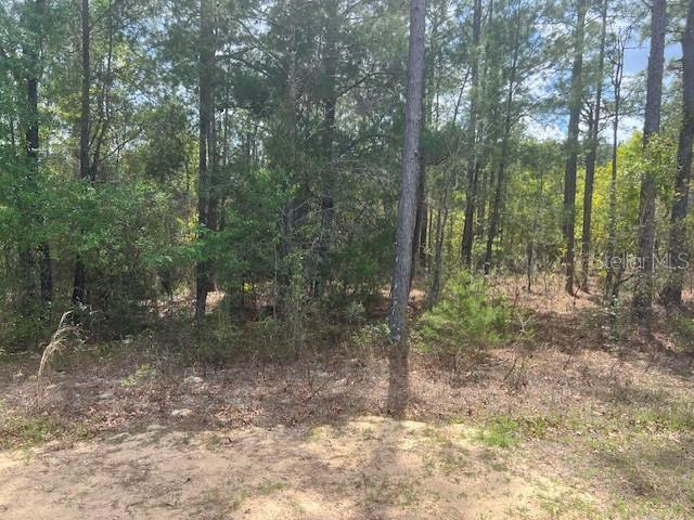 Image 3 of 8 For 181 Whirlwind Loop