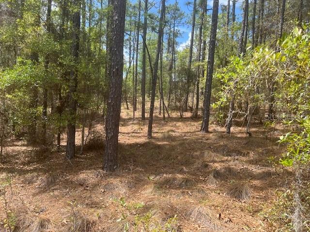 Image 4 of 8 For 181 Whirlwind Loop