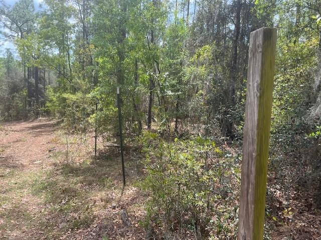 Image 5 of 8 For 181 Whirlwind Loop