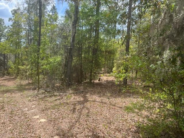 Image 6 of 8 For 181 Whirlwind Loop