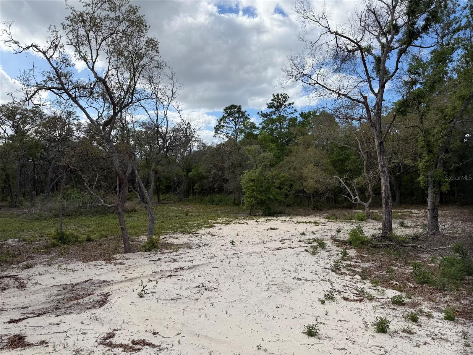 Image 13 of 15 For 10671 75th Street