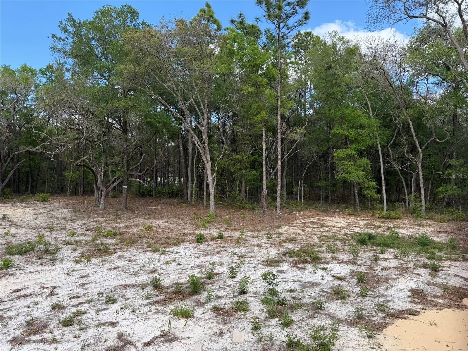 Image 14 of 15 For 10671 75th Street