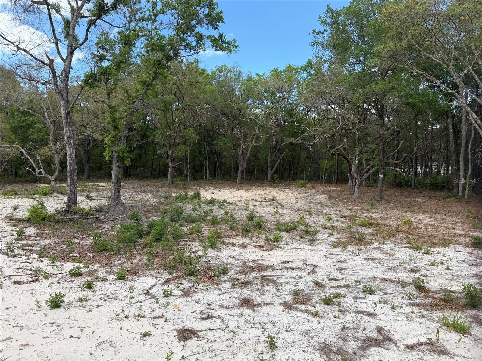 Image 15 of 15 For 10671 75th Street