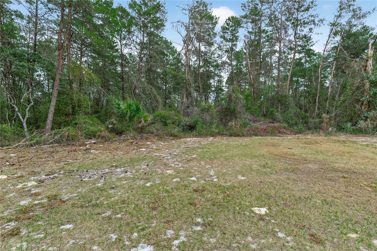 Image 62 of 83 For 117 Stoddard Road