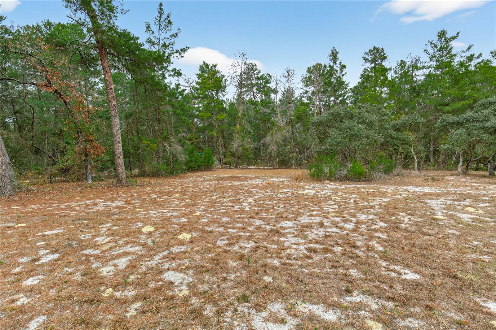Image 69 of 83 For 117 Stoddard Road
