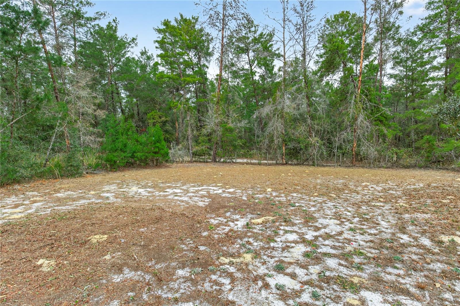 Image 71 of 83 For 117 Stoddard Road