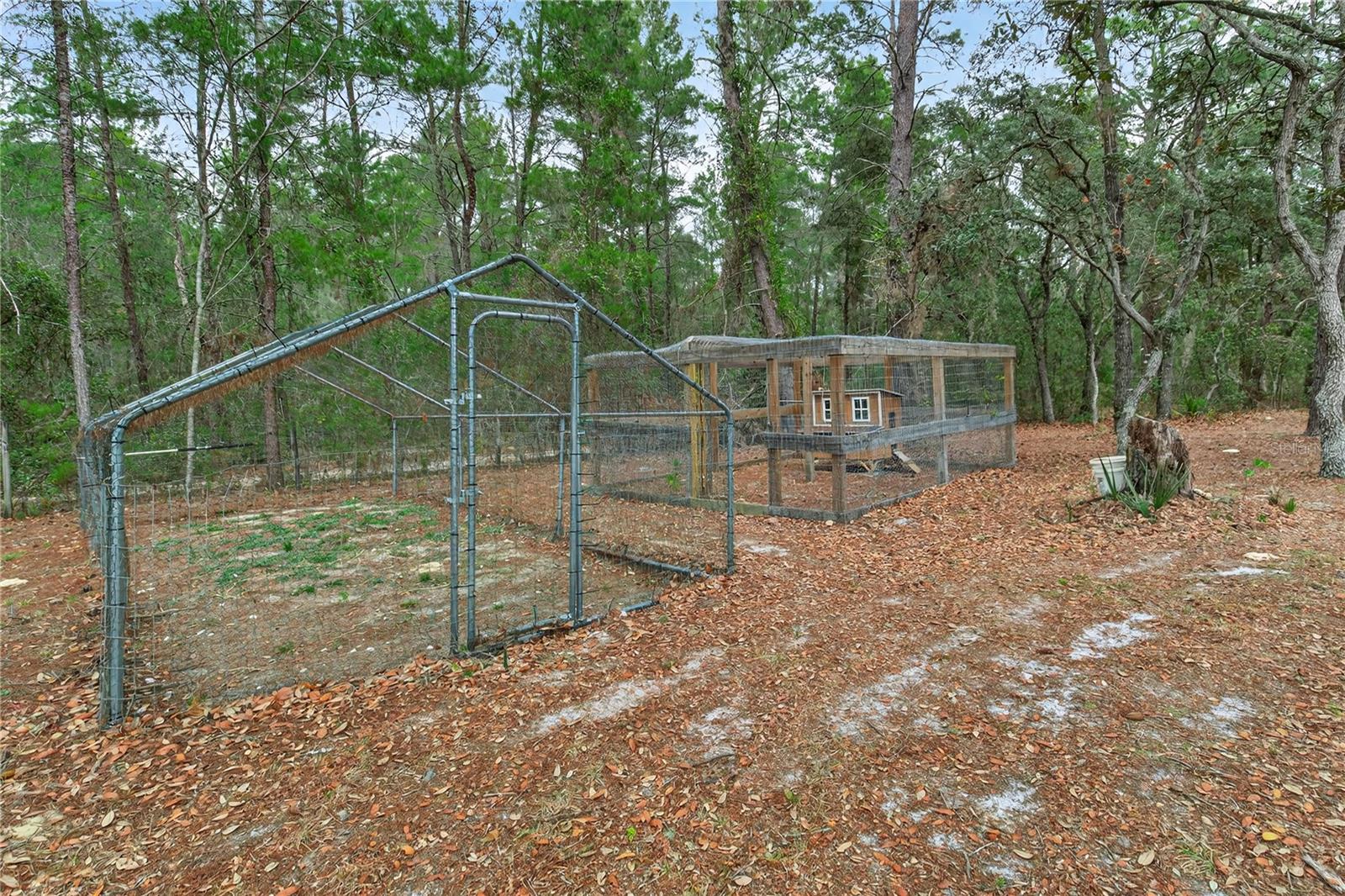 Image 76 of 83 For 117 Stoddard Road
