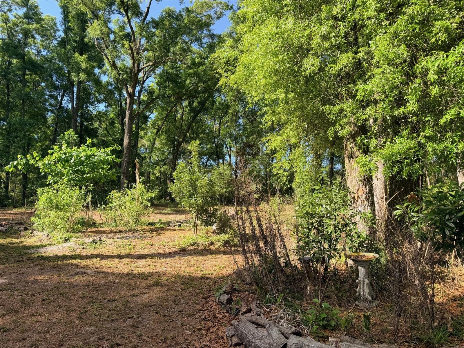 Image 27 of 37 For 14790 72nd Court