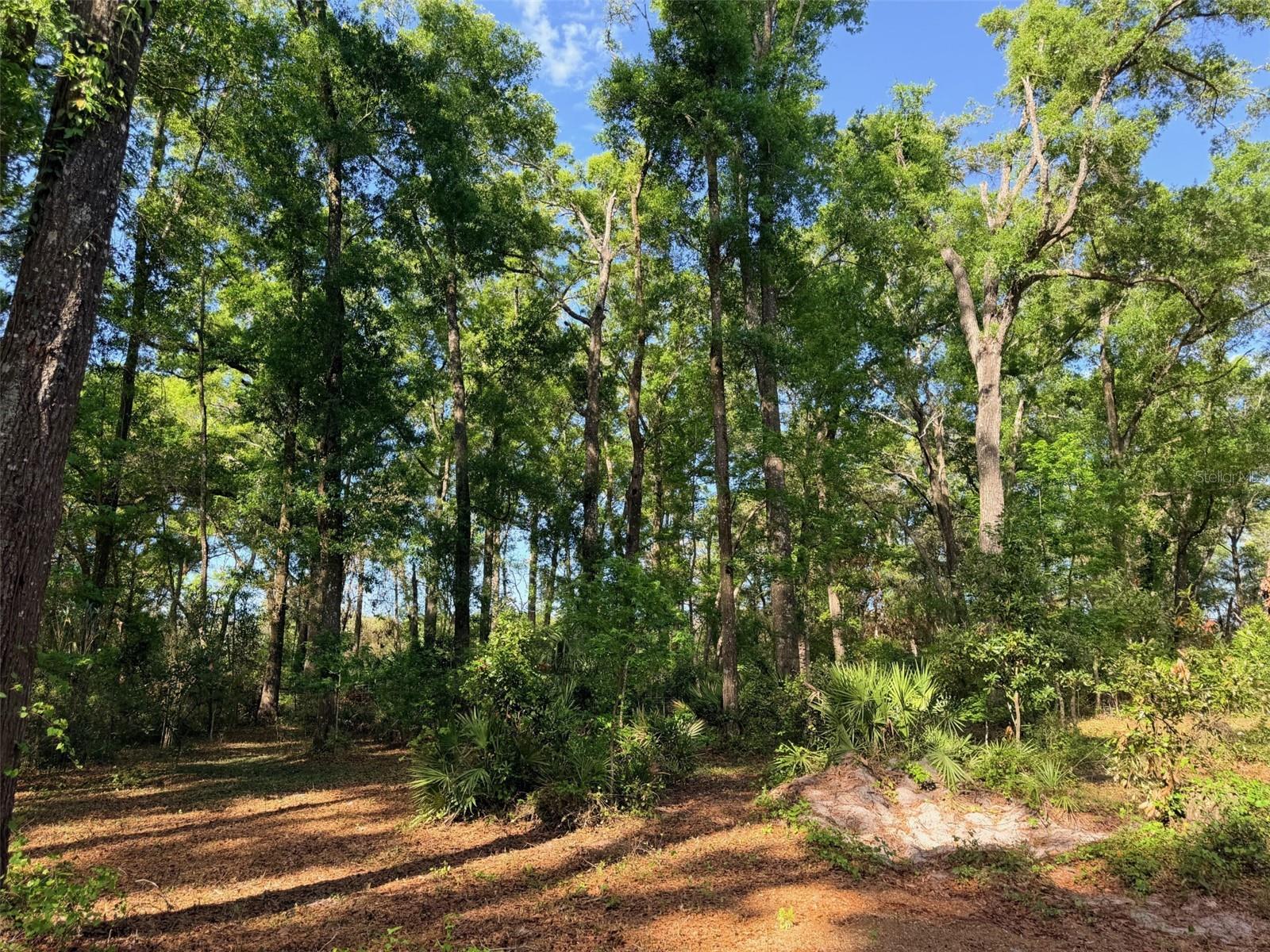 Image 33 of 37 For 14790 72nd Court