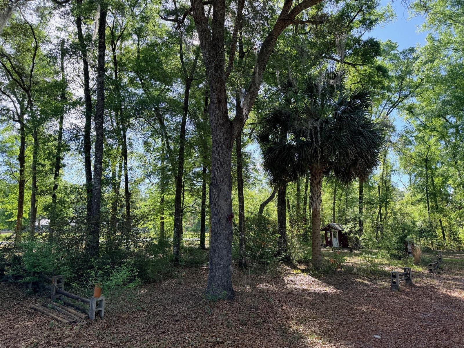 Image 35 of 37 For 14790 72nd Court