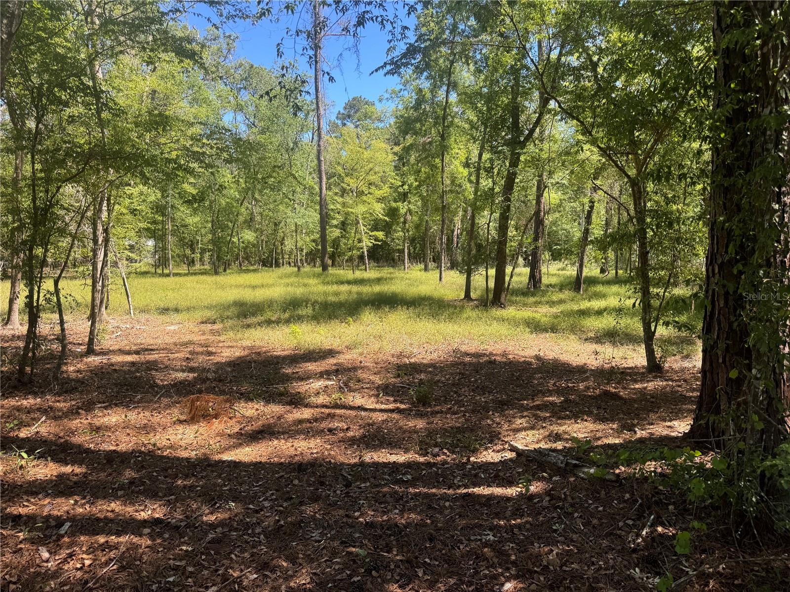 Image 4 of 5 For Tbd Sw 25 Place