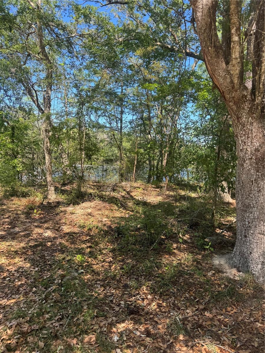 Image 5 of 5 For Tbd Sw 25 Place