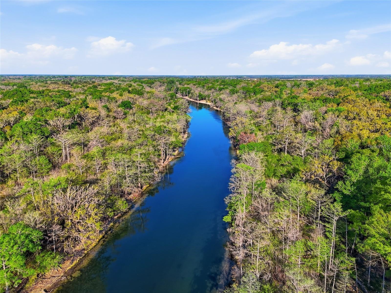 Image 60 of 66 For 1042 Woodland Avenue