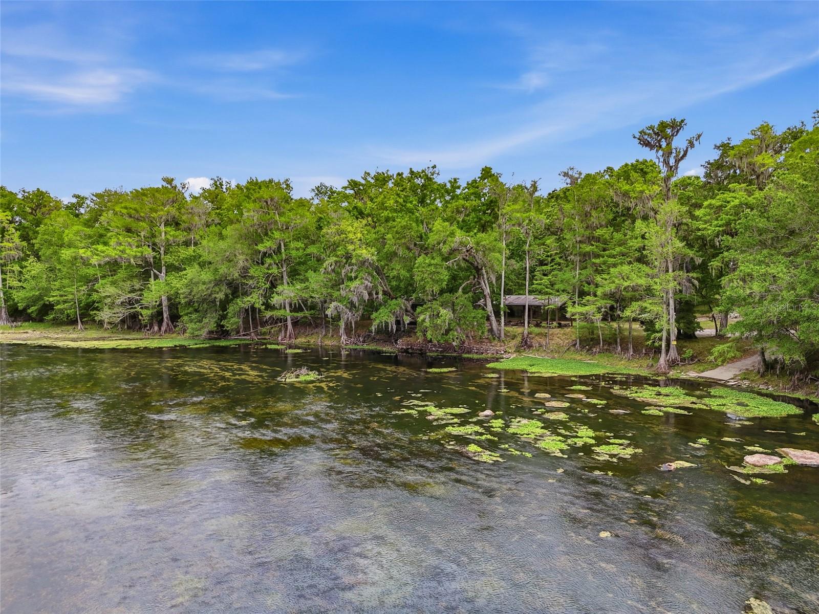 Image 65 of 66 For 1042 Woodland Avenue