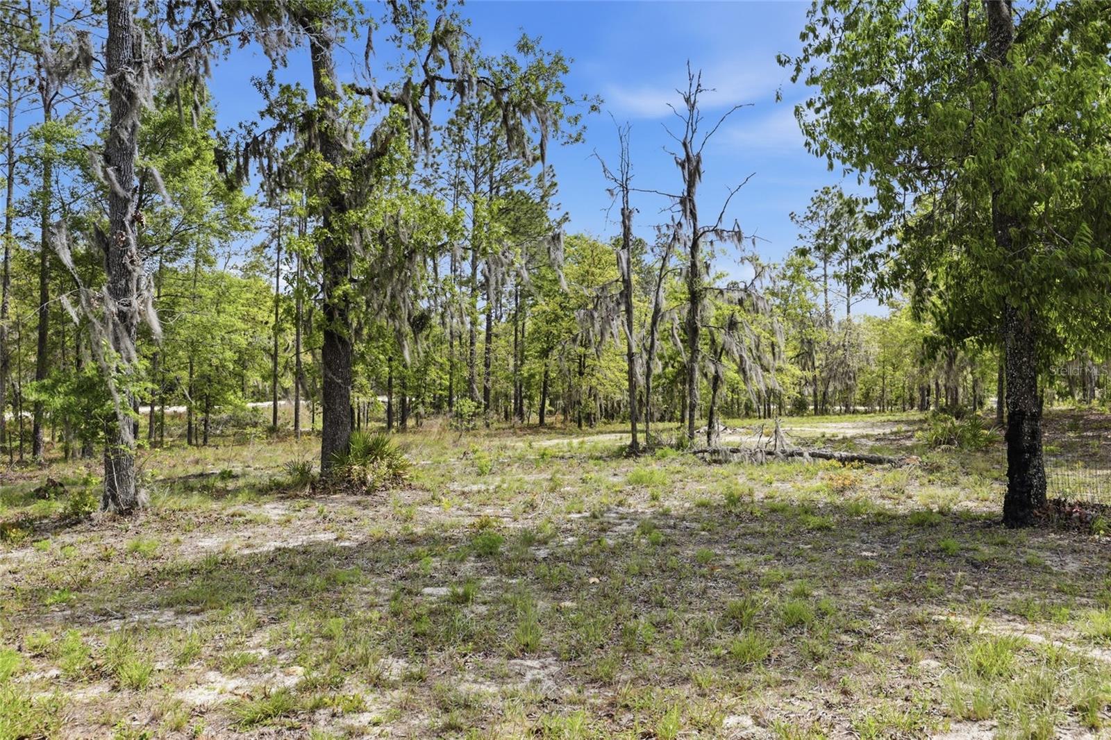 Image 42 of 45 For 2640 74th Avenue