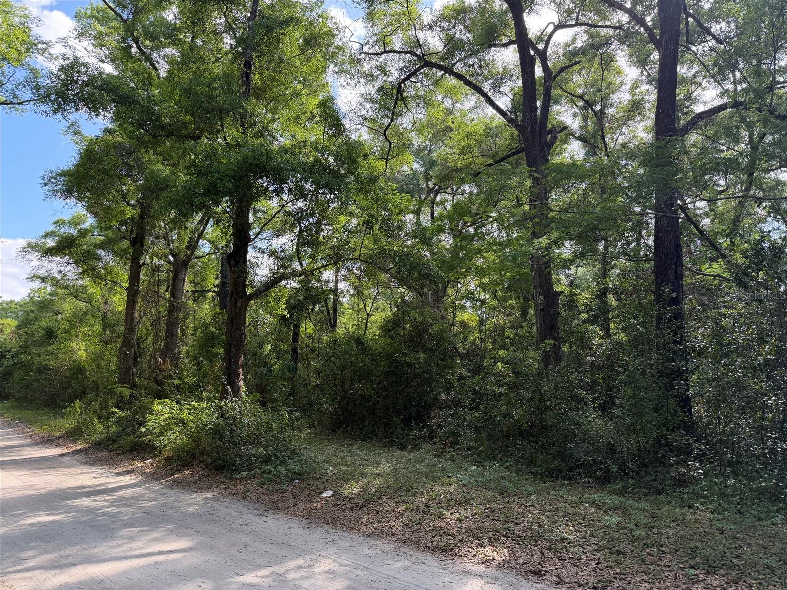 Details for 1410 10th Street, CHIEFLAND, FL 32626