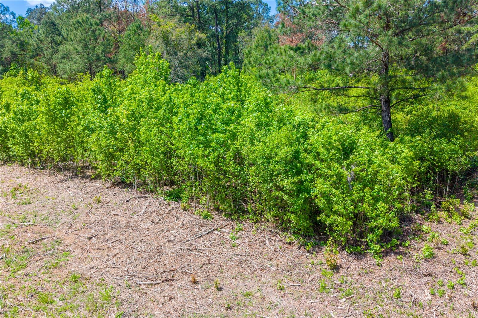 Image 5 of 6 For 5781 91st Place