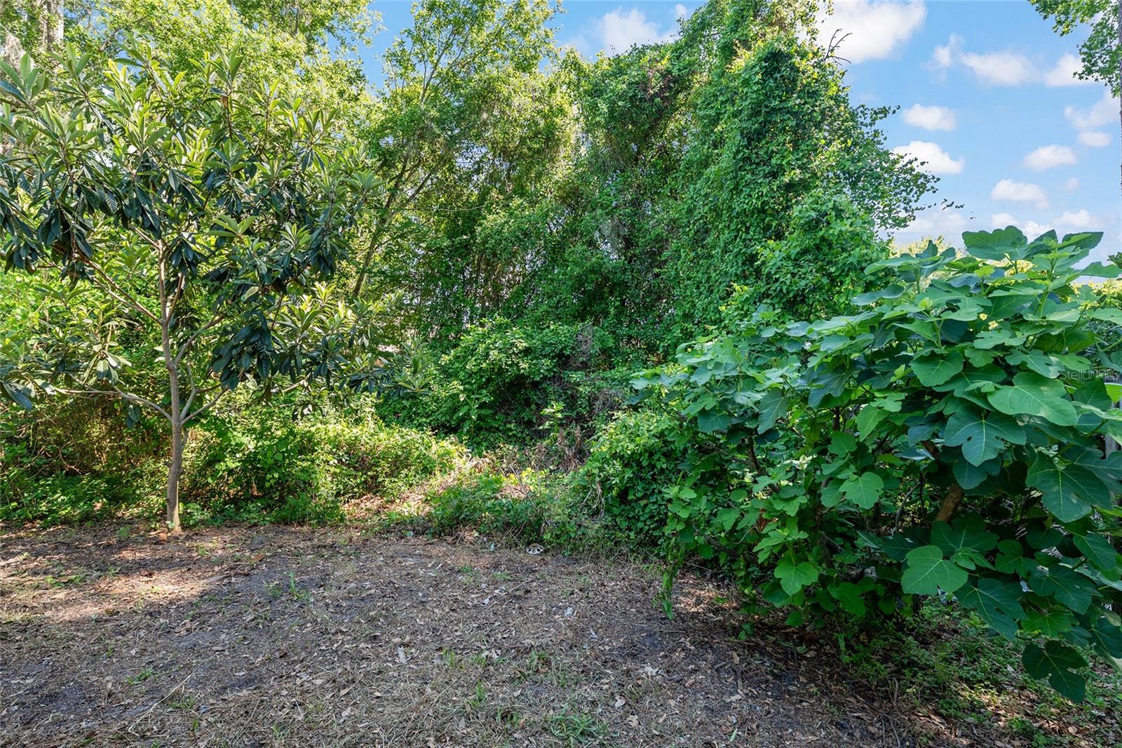 Image 37 of 41 For 4939 81st Avenue