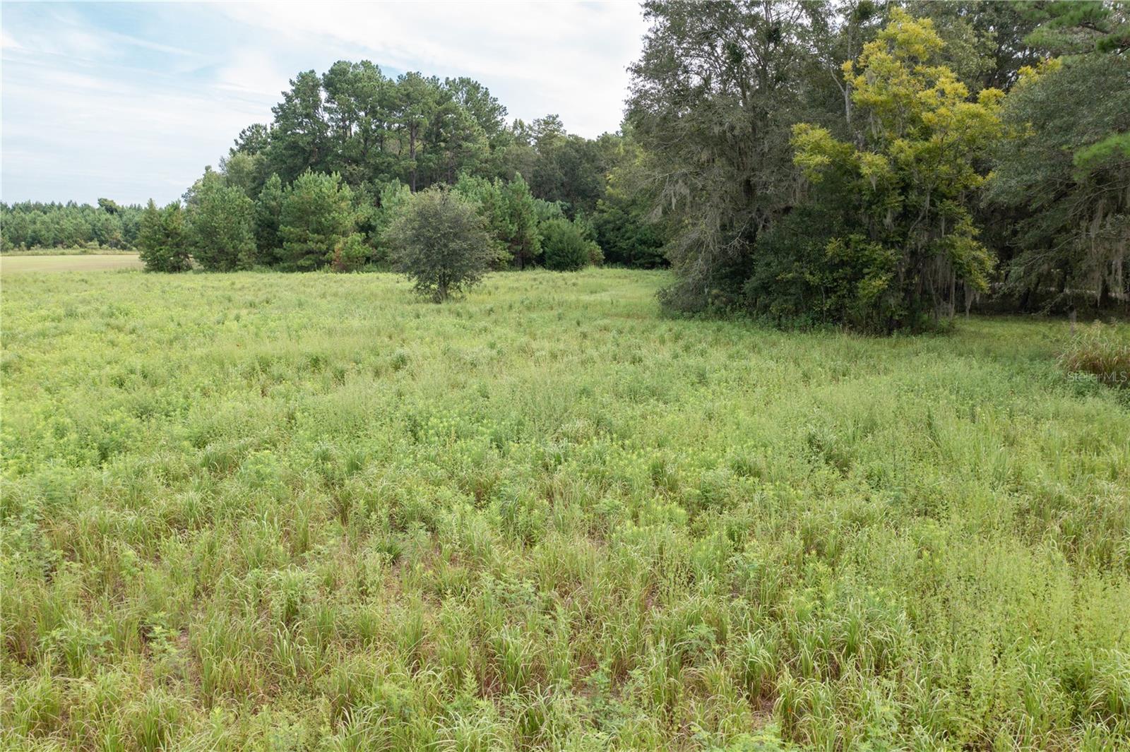 Image 13 of 16 For Tbd 71st Avenue