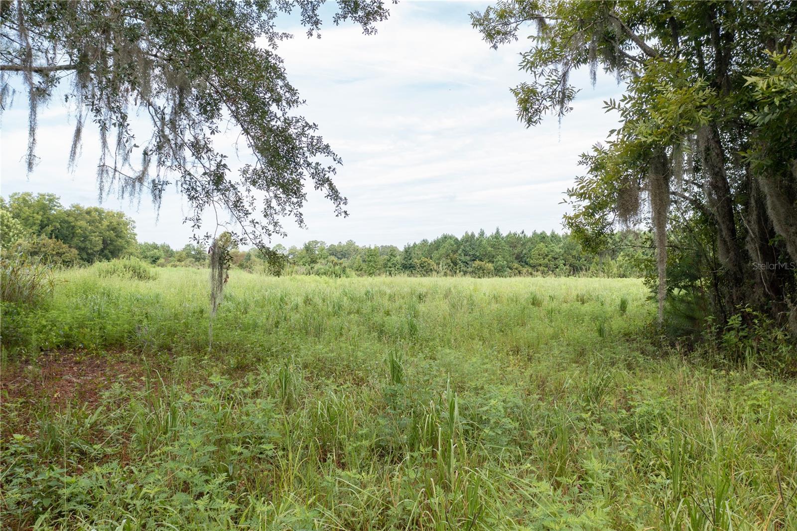 Image 14 of 16 For Tbd 71st Avenue