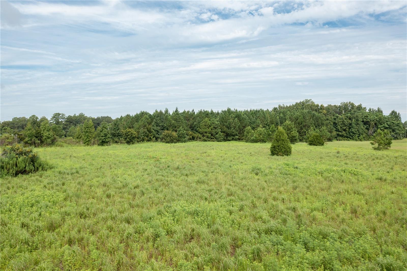 Image 3 of 16 For Tbd 71st Avenue