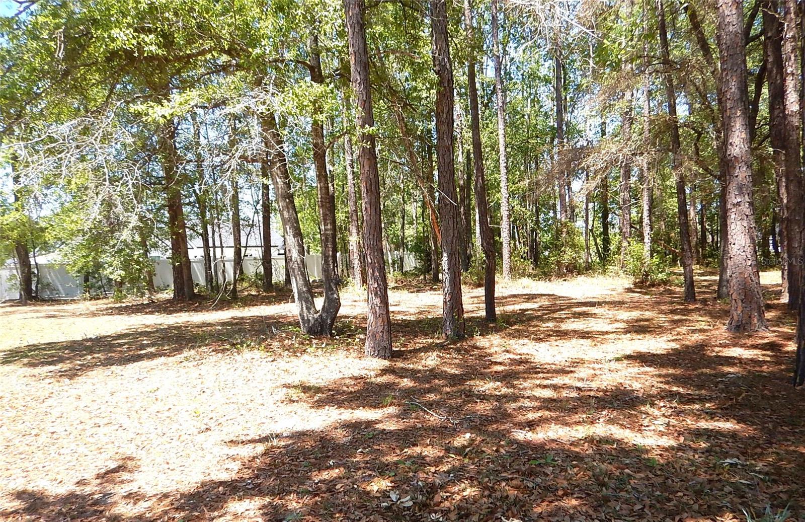 Image 16 of 18 For 6343 Fox Hollow Court