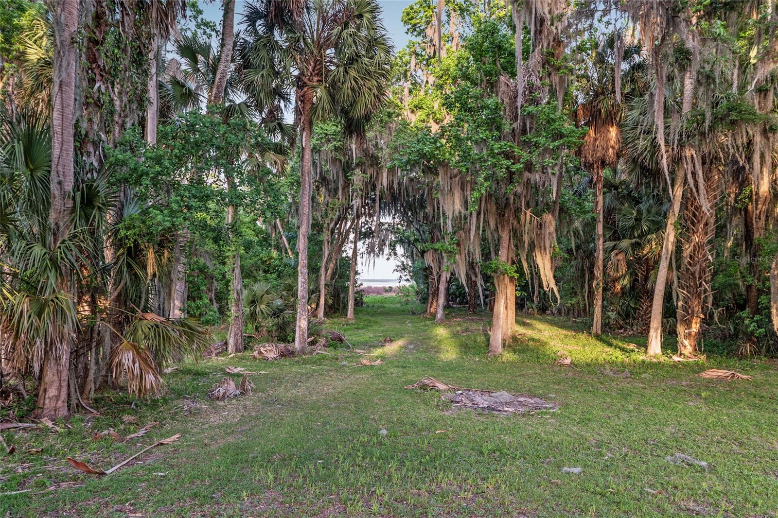 Image 57 of 62 For 20361 1st Street