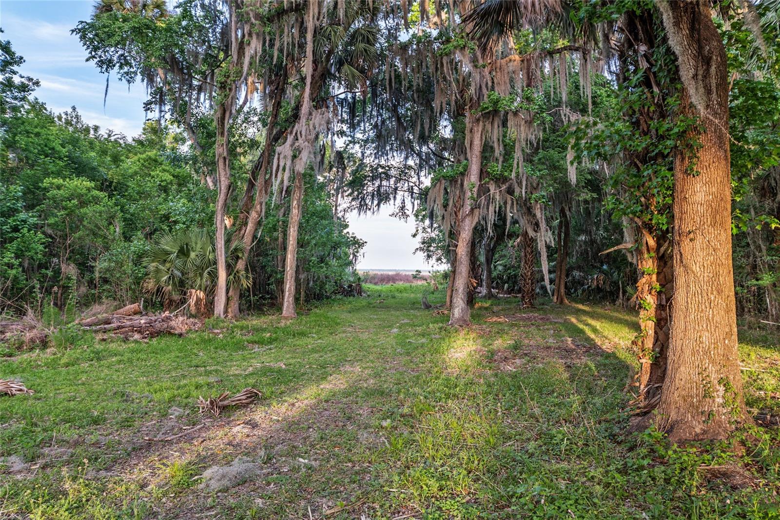 Image 60 of 62 For 20361 1st Street