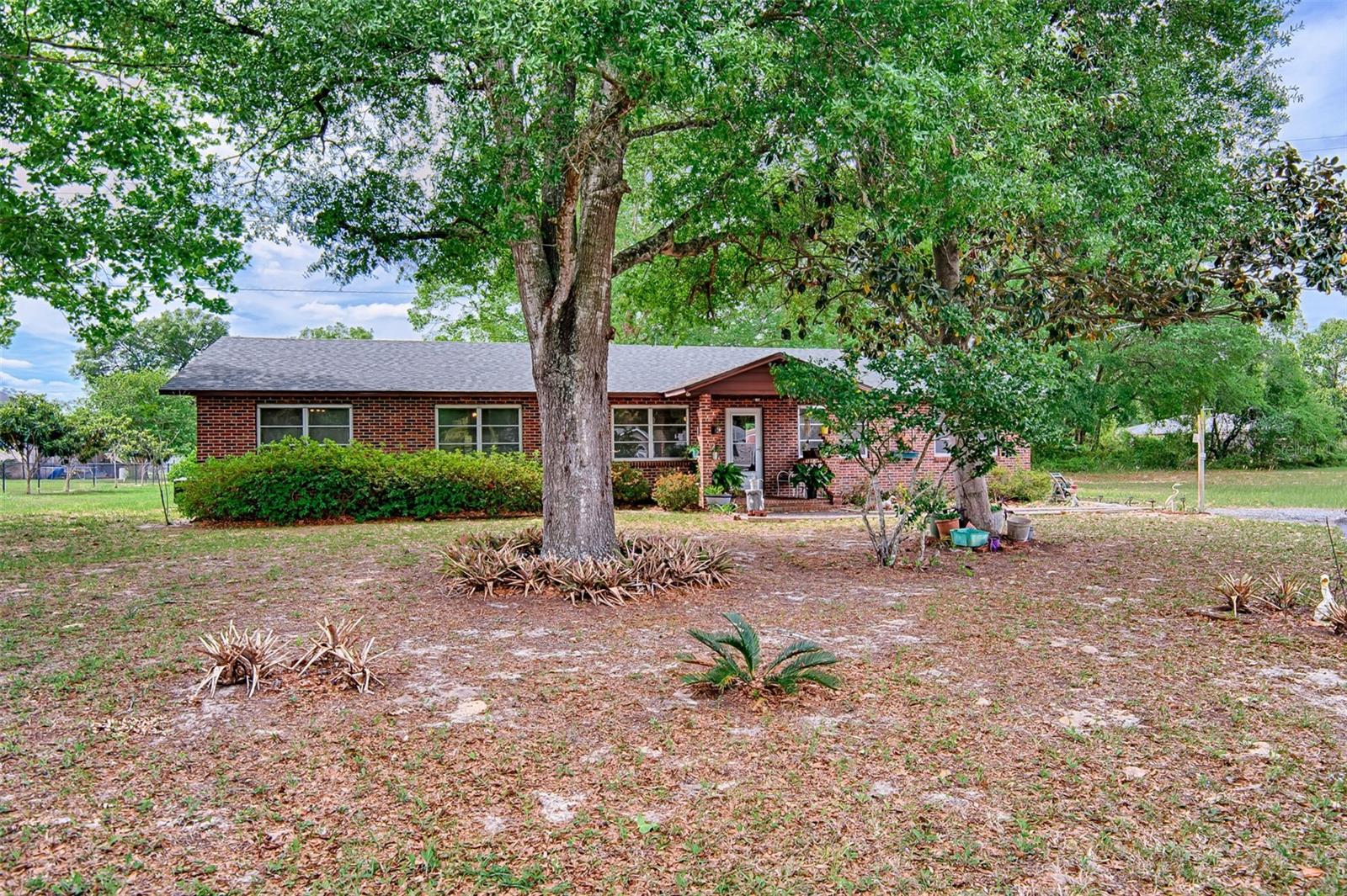 Image 32 of 36 For 6537 Triest Avenue