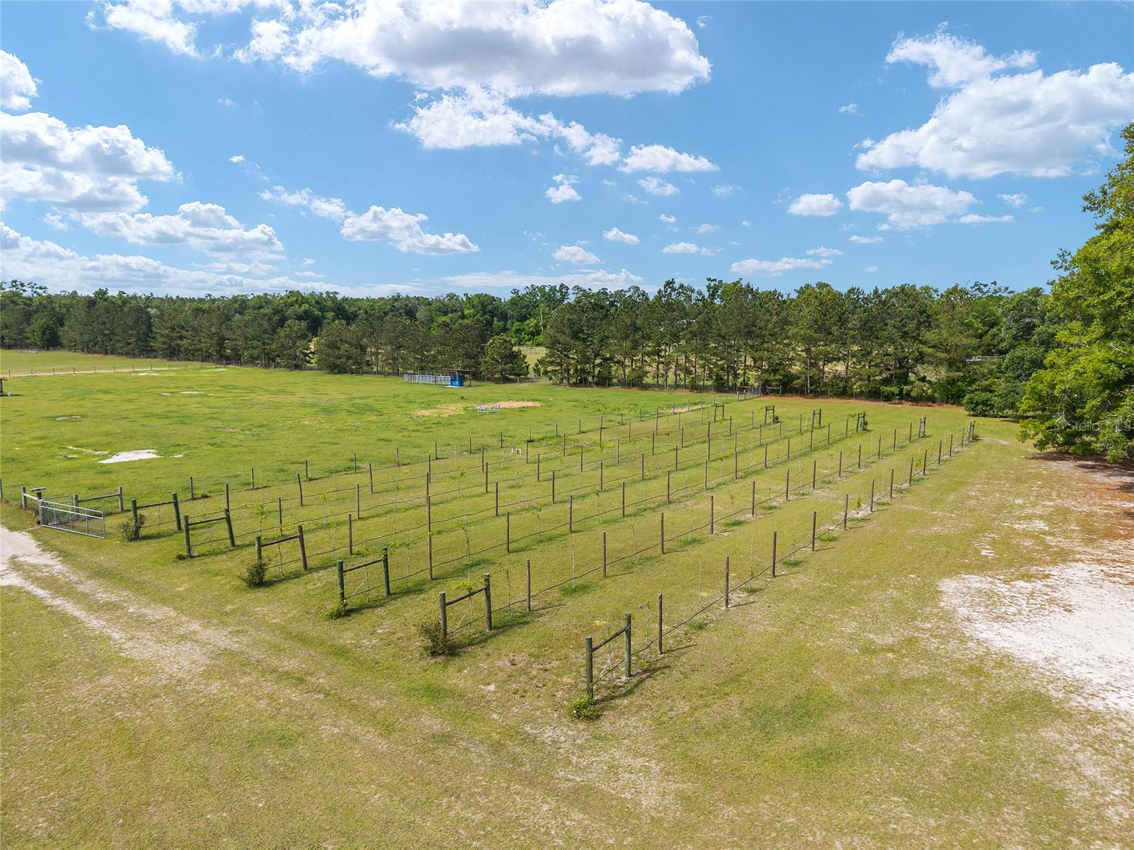 Image 15 of 98 For 3725 172nd Street