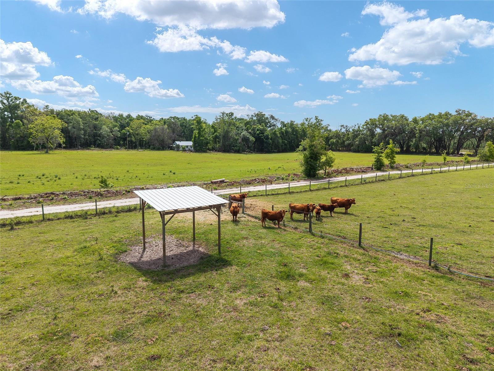 Image 19 of 98 For 3725 172nd Street