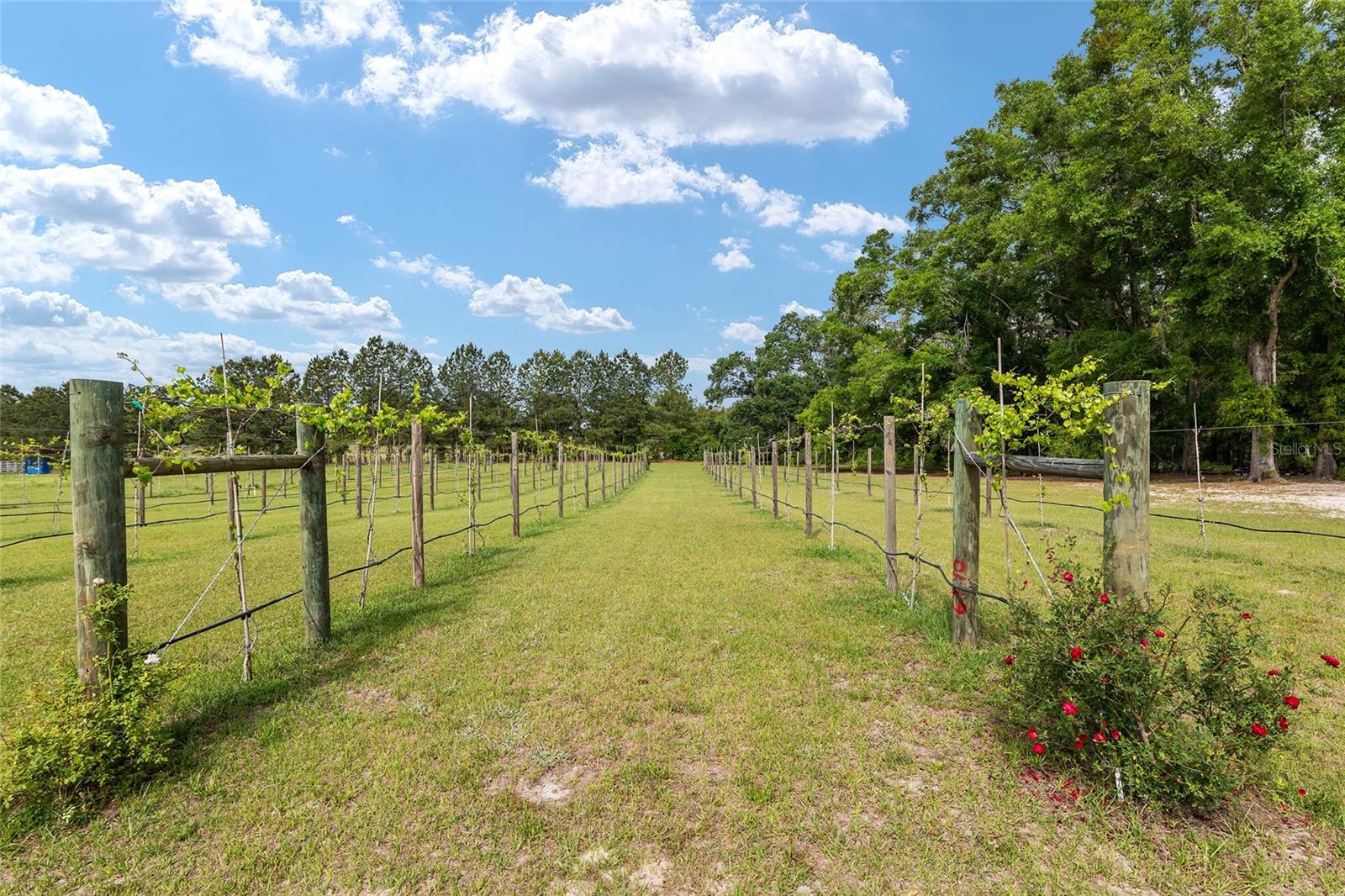 Image 90 of 98 For 3725 172nd Street