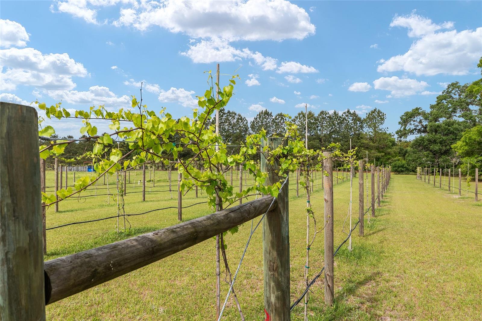 Image 91 of 98 For 3725 172nd Street