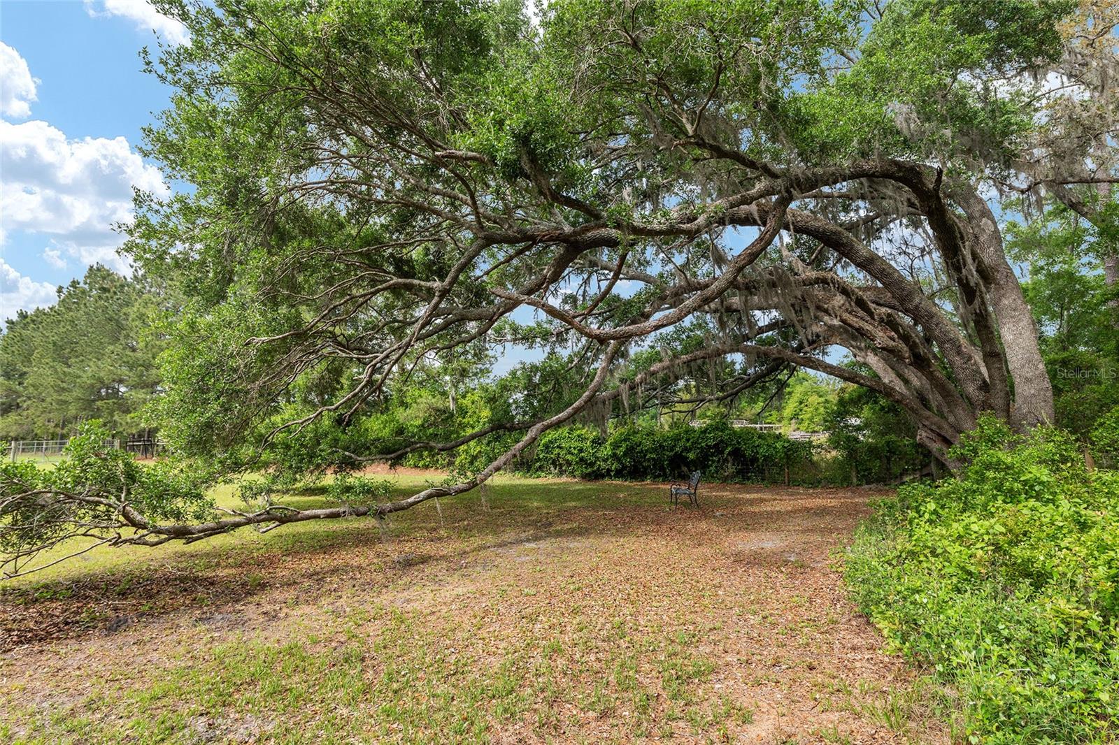 Image 92 of 98 For 3725 172nd Street