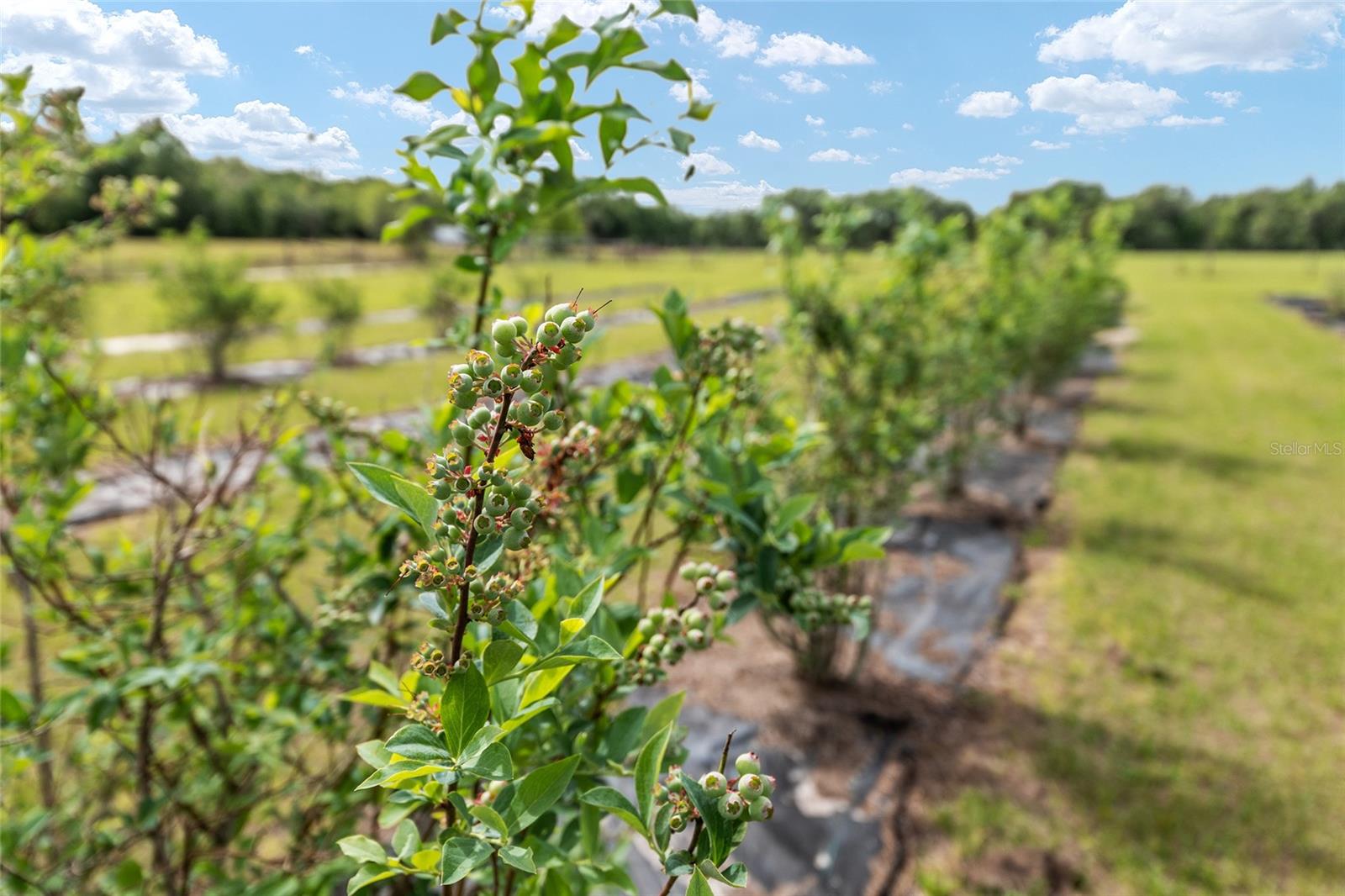 Image 94 of 98 For 3725 172nd Street