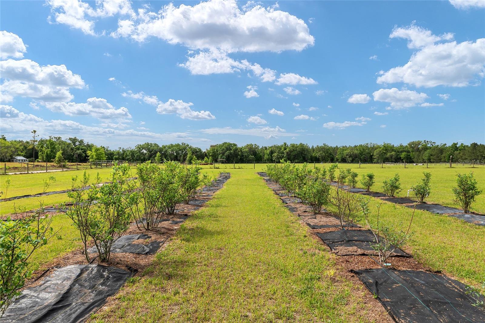 Image 95 of 98 For 3725 172nd Street