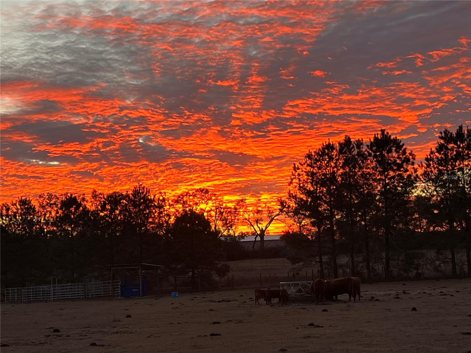 Image 97 of 98 For 3725 172nd Street