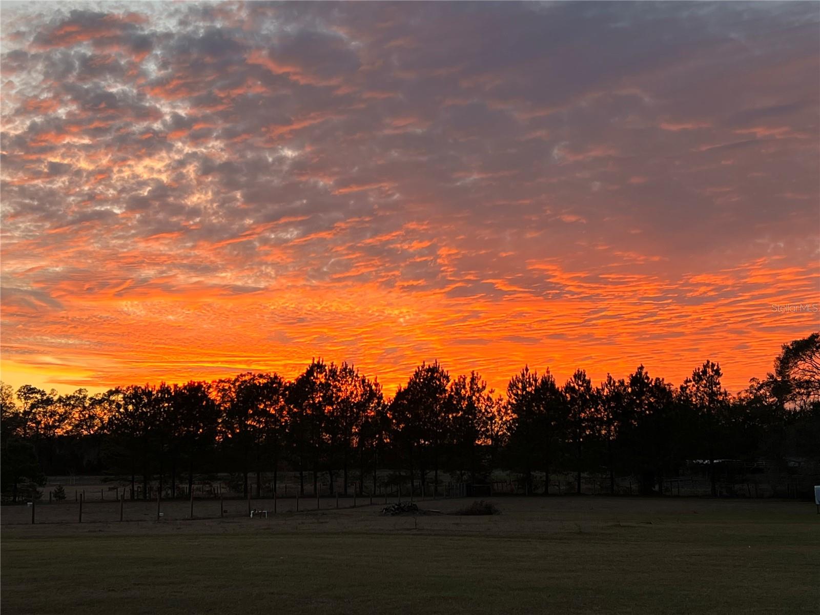 Image 98 of 98 For 3725 172nd Street